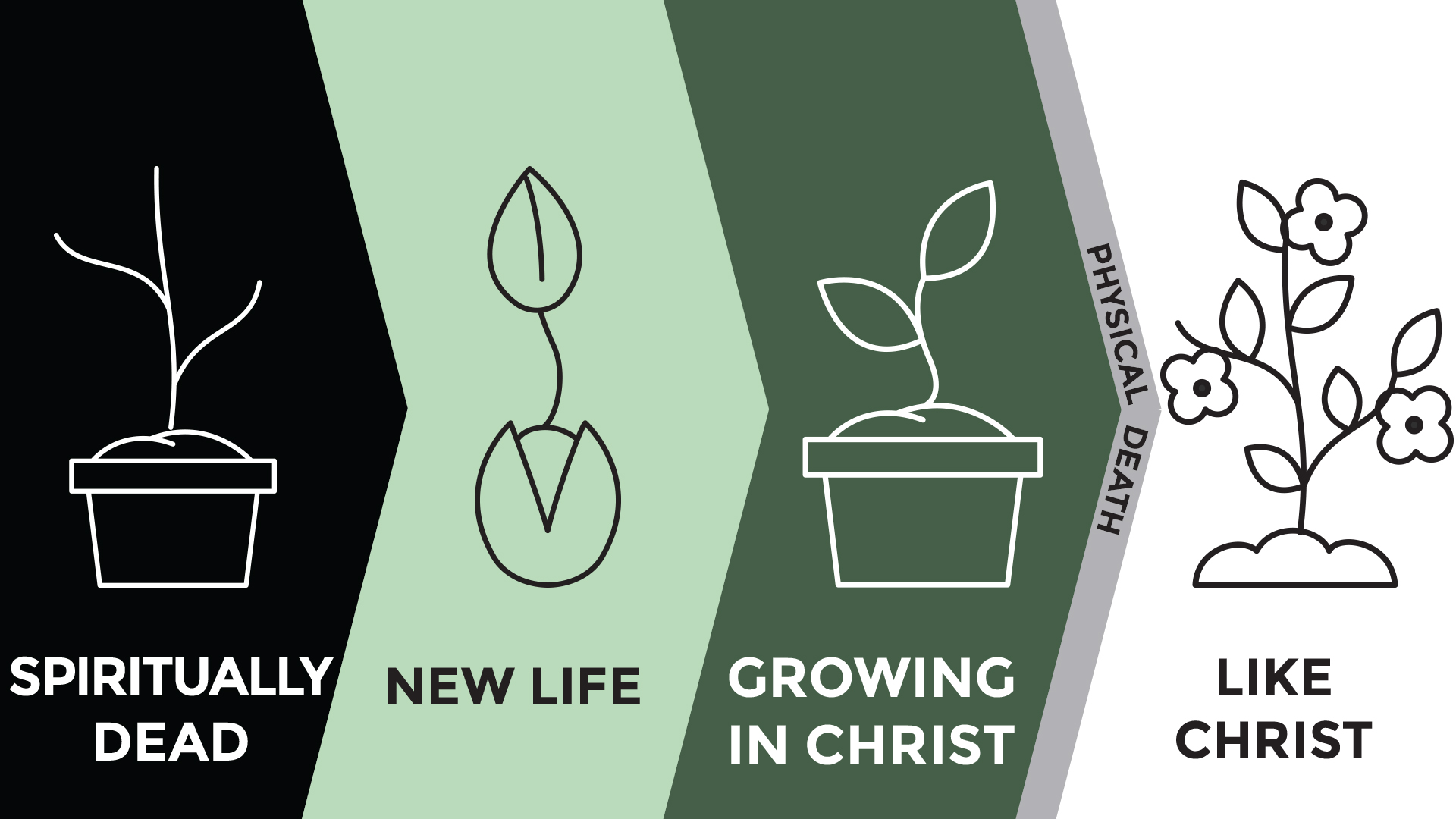 Spiritual Growth Process